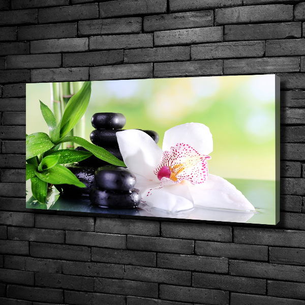 Canvas wall art Orchid