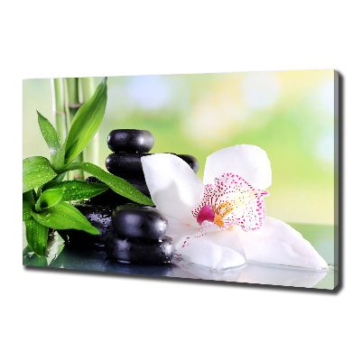 Canvas wall art Orchid