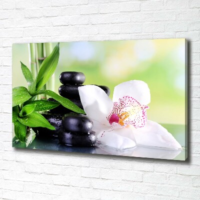 Canvas wall art Orchid