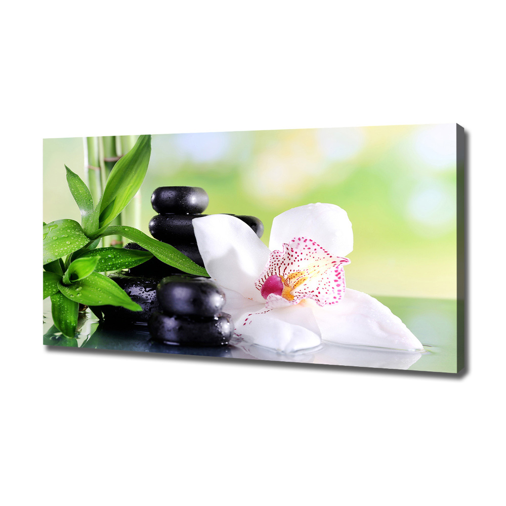 Canvas wall art Orchid