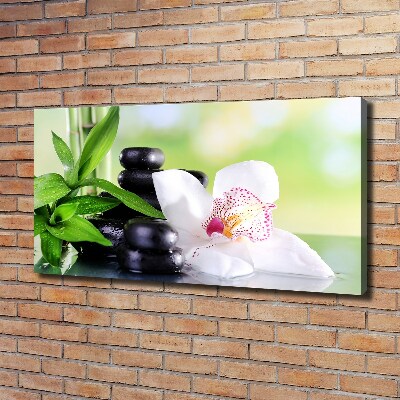 Canvas wall art Orchid