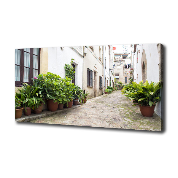 Canvas wall art Charming street