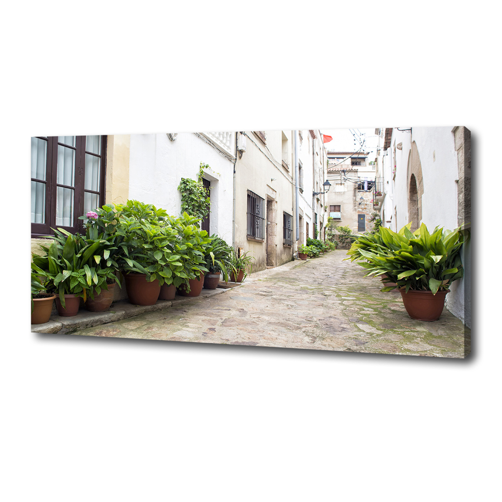 Canvas wall art Charming street