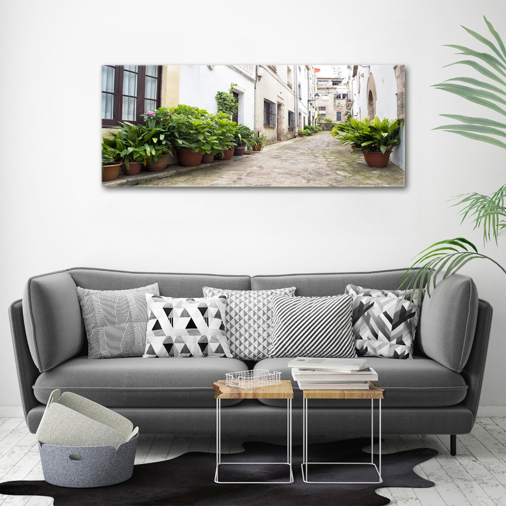 Canvas wall art Charming street