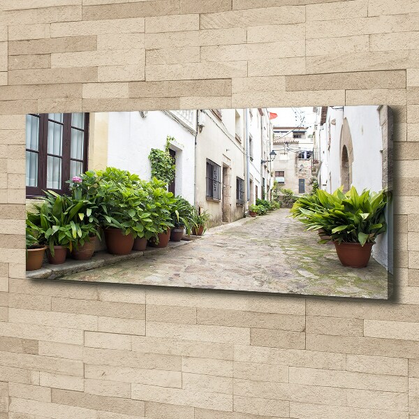 Canvas wall art Charming street