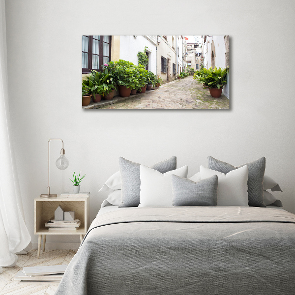 Canvas wall art Charming street