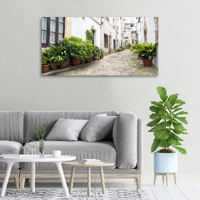 Canvas wall art Charming street