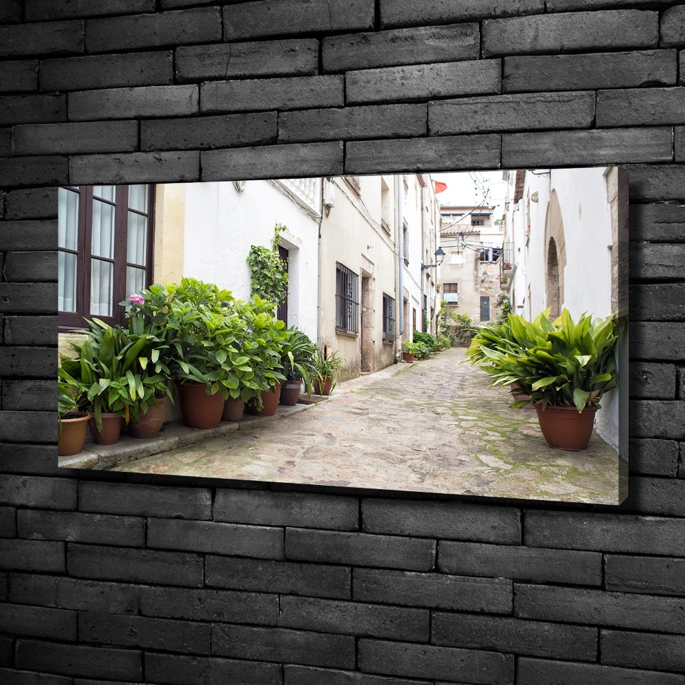 Canvas wall art Charming street