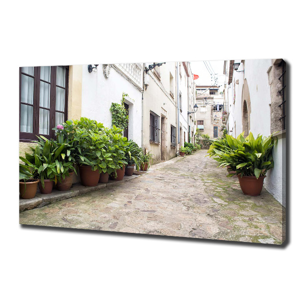 Canvas wall art Charming street