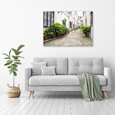 Canvas wall art Charming street