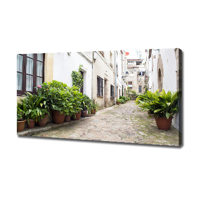 Canvas wall art Charming street