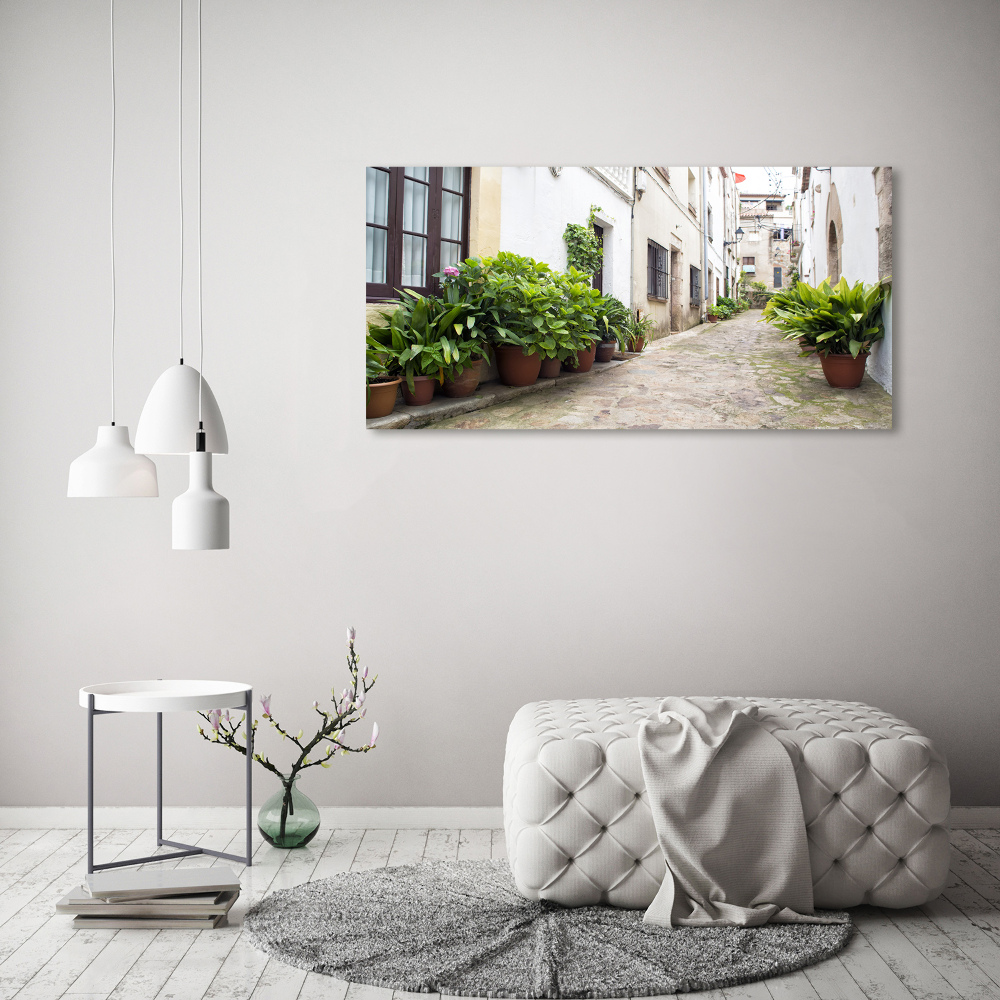 Canvas wall art Charming street