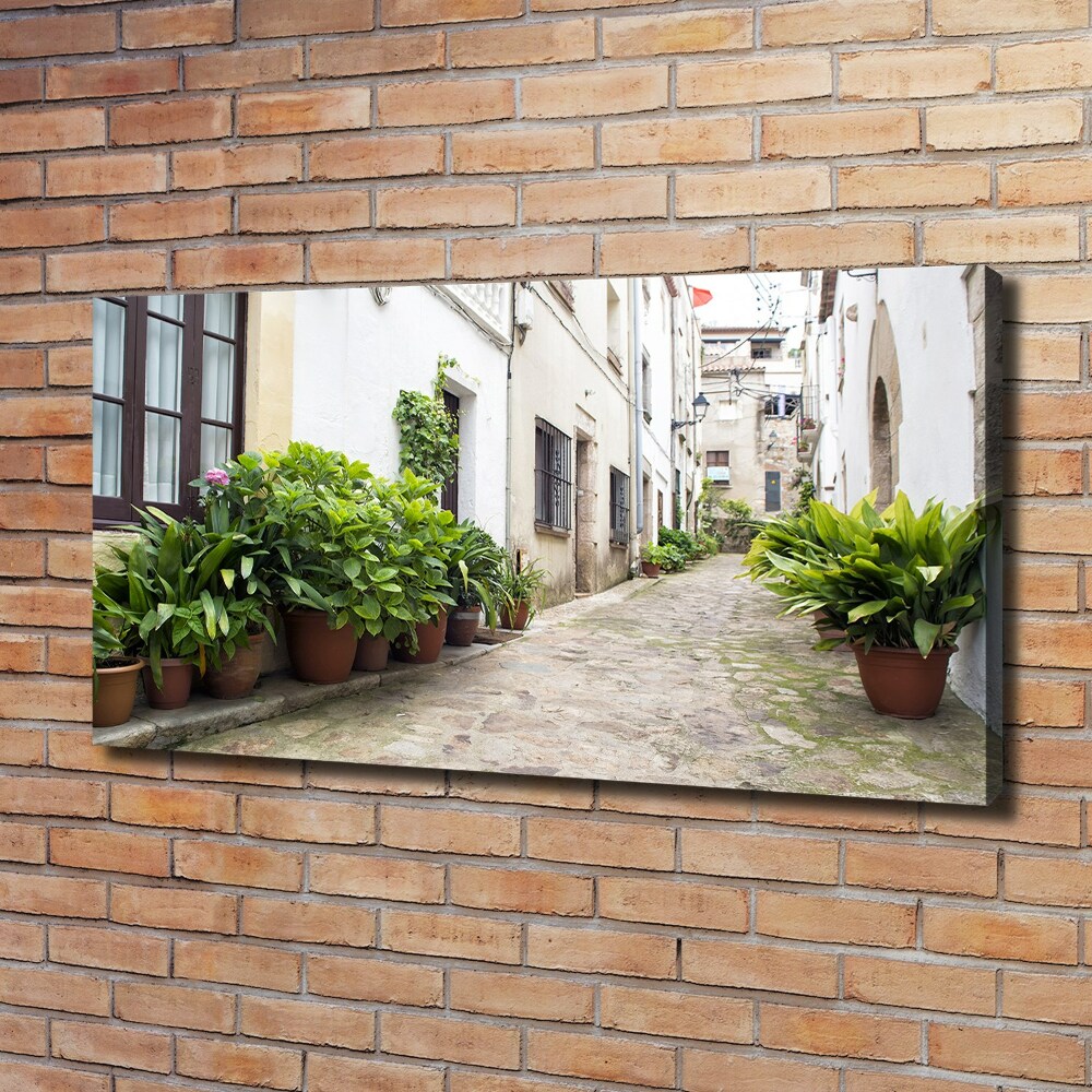 Canvas wall art Charming street