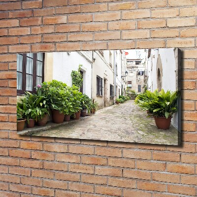 Canvas wall art Charming street