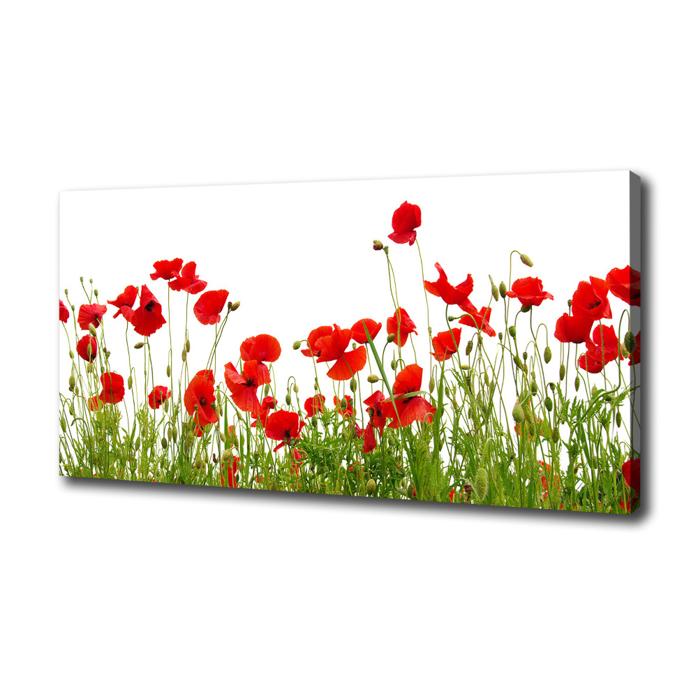 Canvas wall art Macs