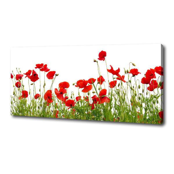 Canvas wall art Macs