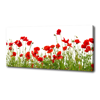 Canvas wall art Macs