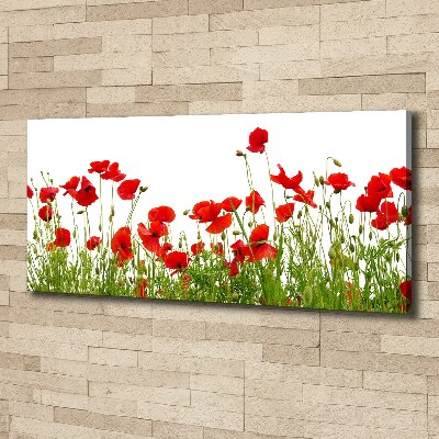 Canvas wall art Macs