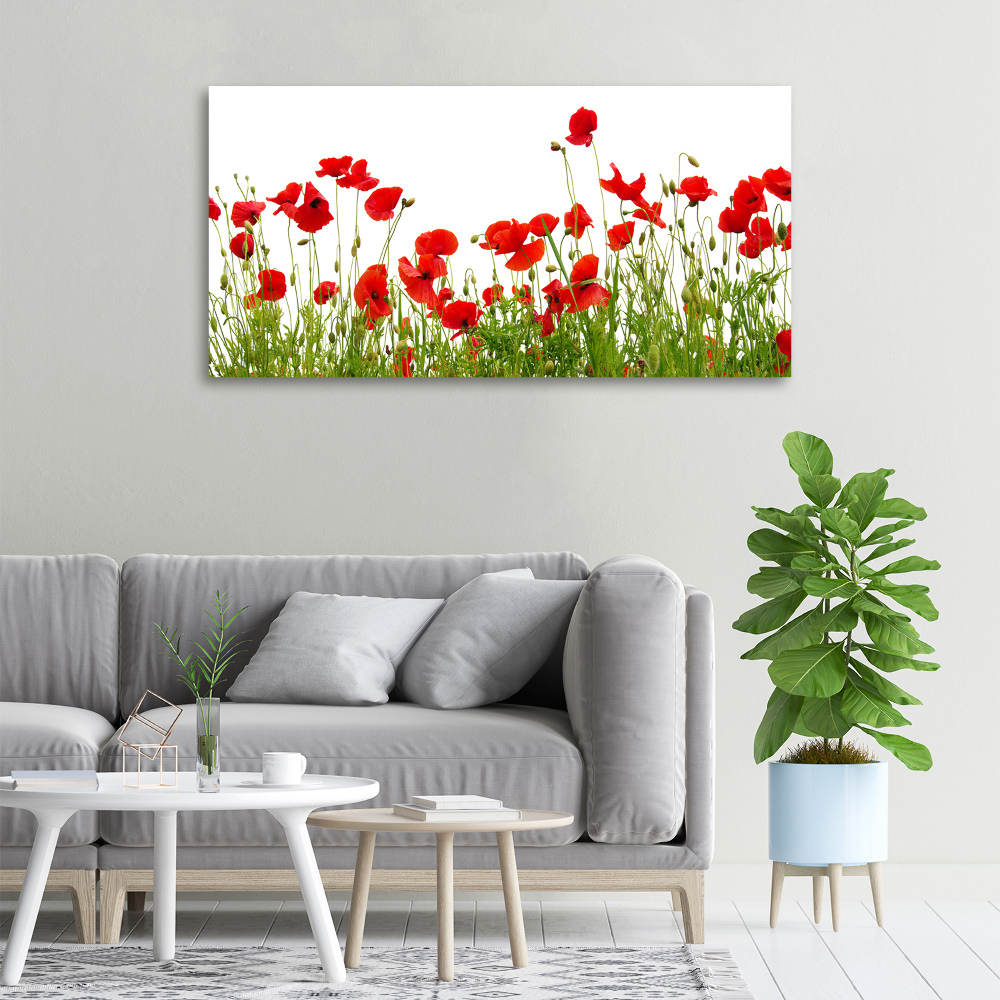 Canvas wall art Macs