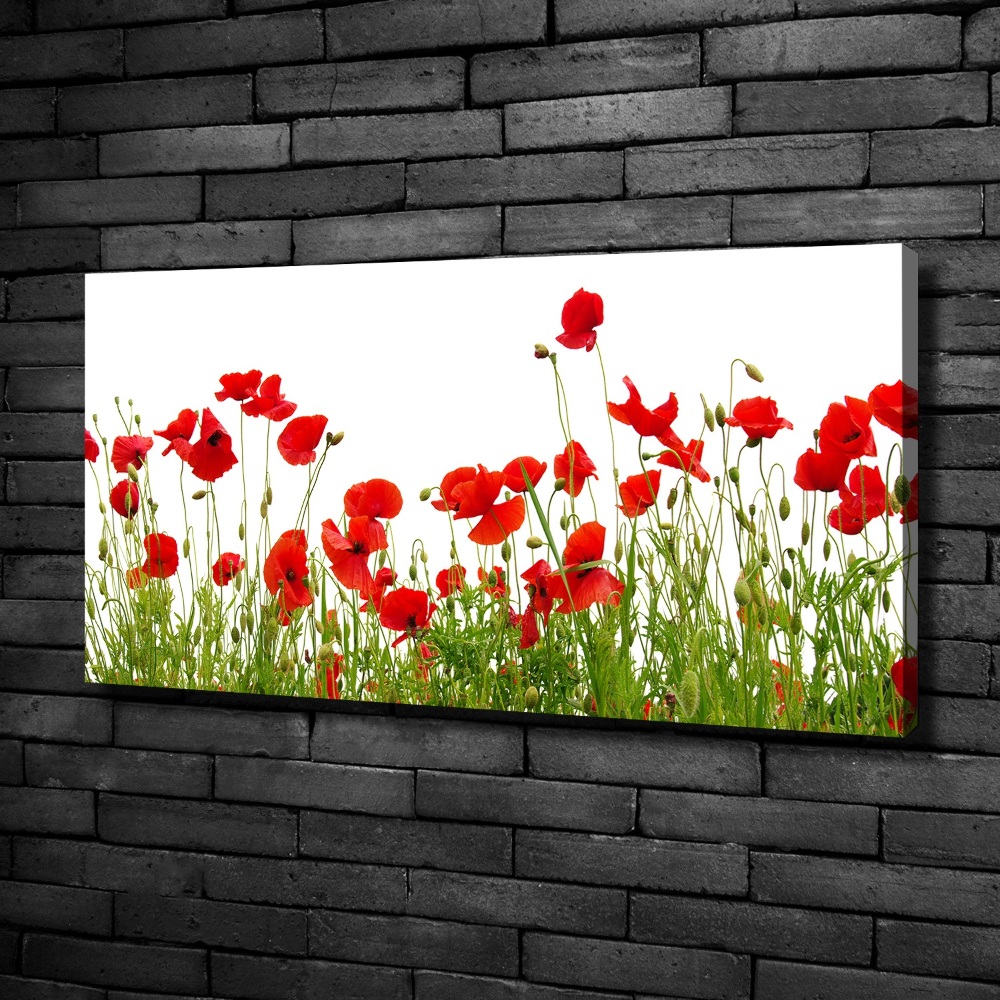 Canvas wall art Macs