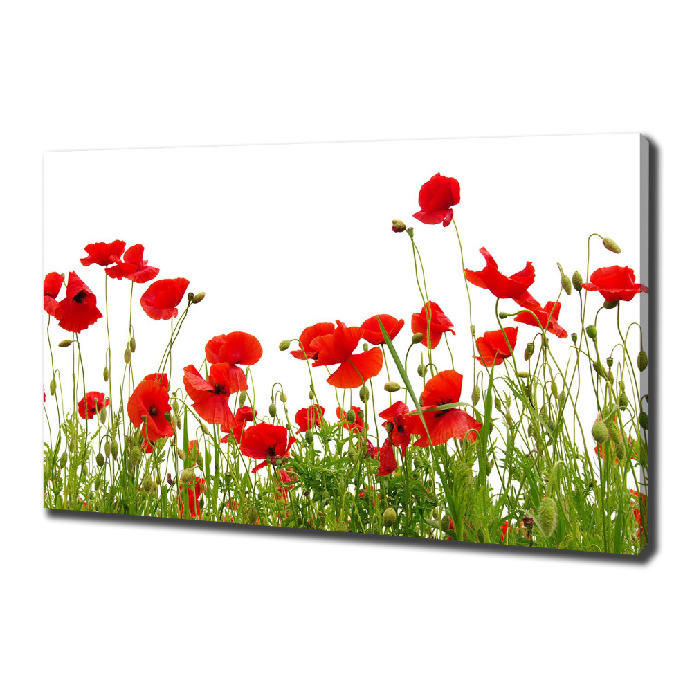 Canvas wall art Macs