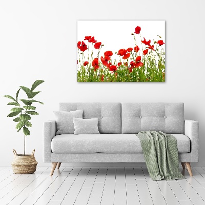 Canvas wall art Macs