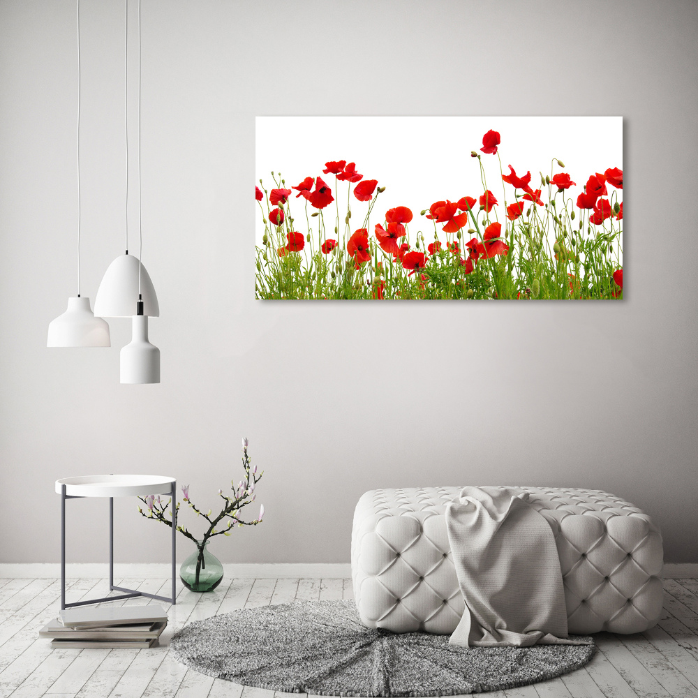 Canvas wall art Macs