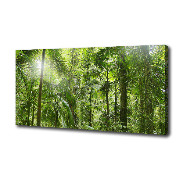 Canvas wall art tropical forest