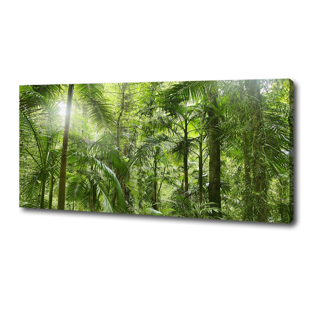 Canvas wall art tropical forest