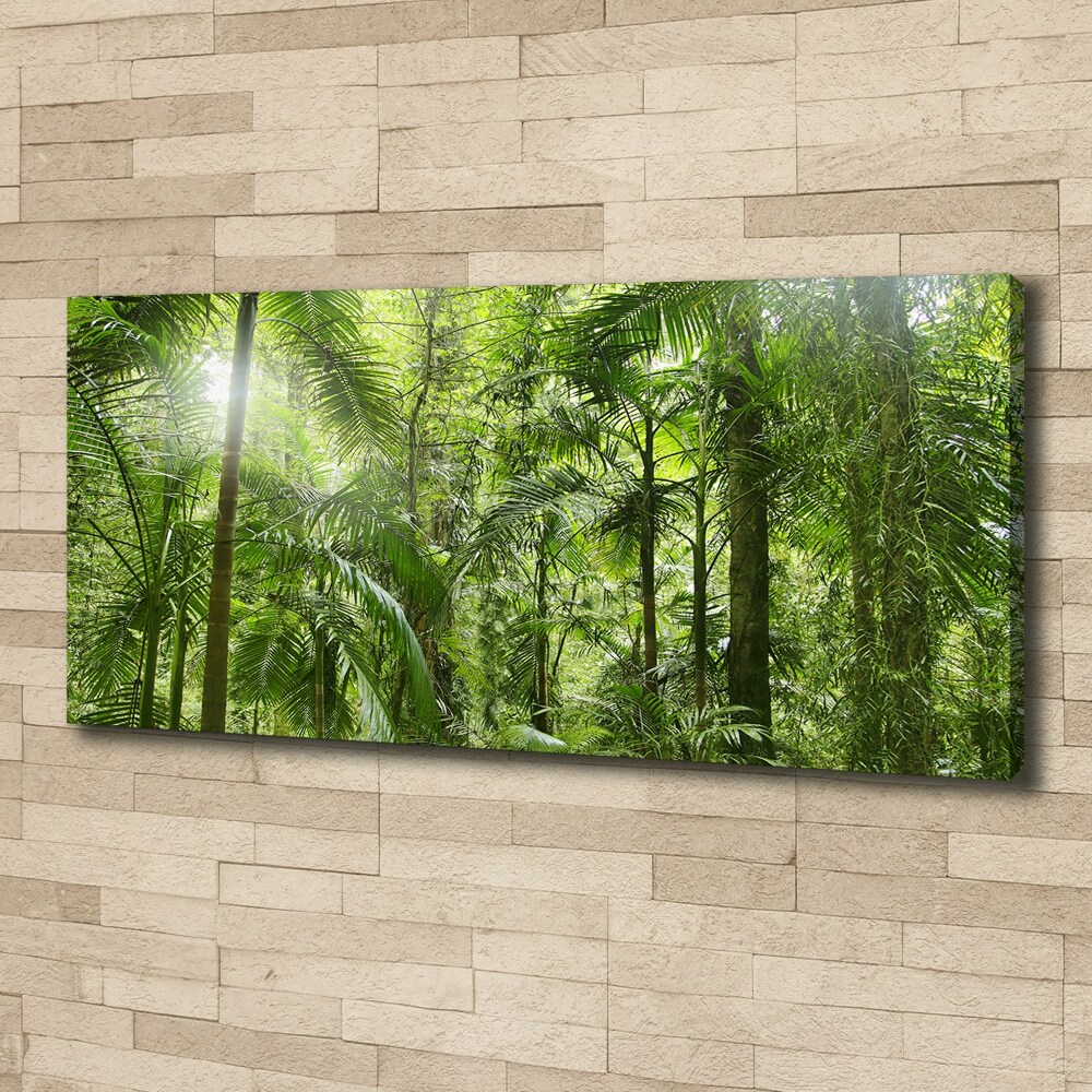 Canvas wall art tropical forest