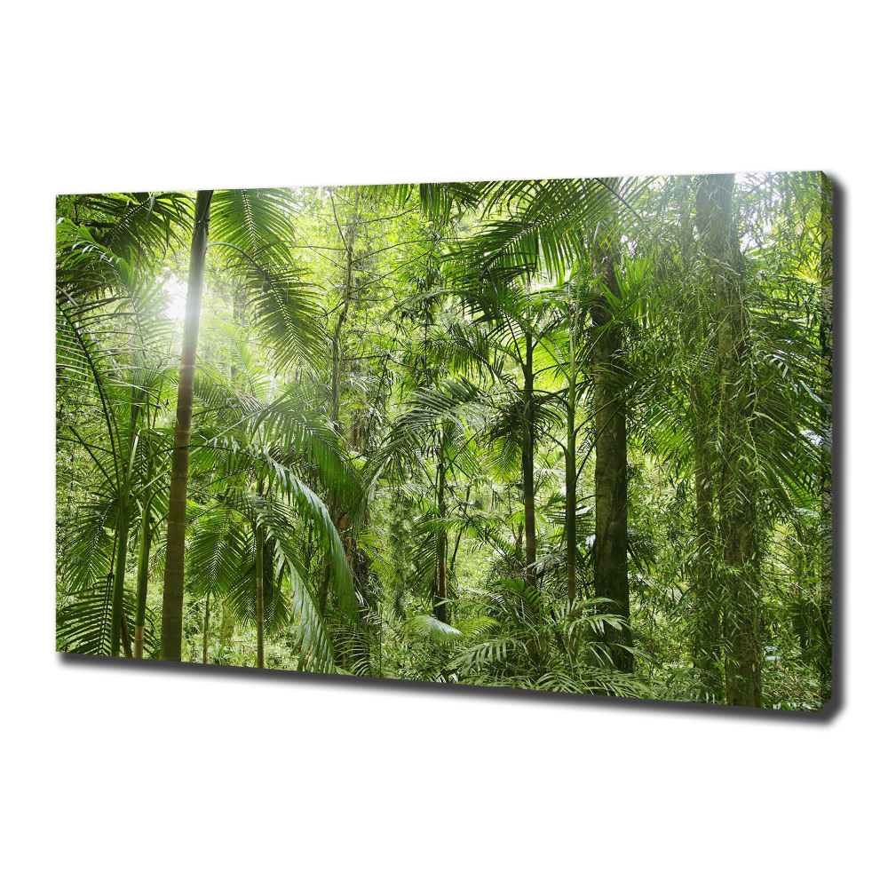 Canvas wall art tropical forest