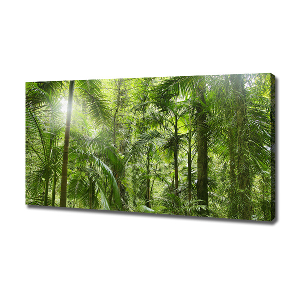 Canvas wall art tropical forest