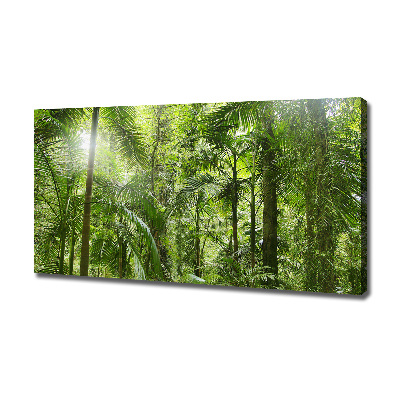 Canvas wall art tropical forest