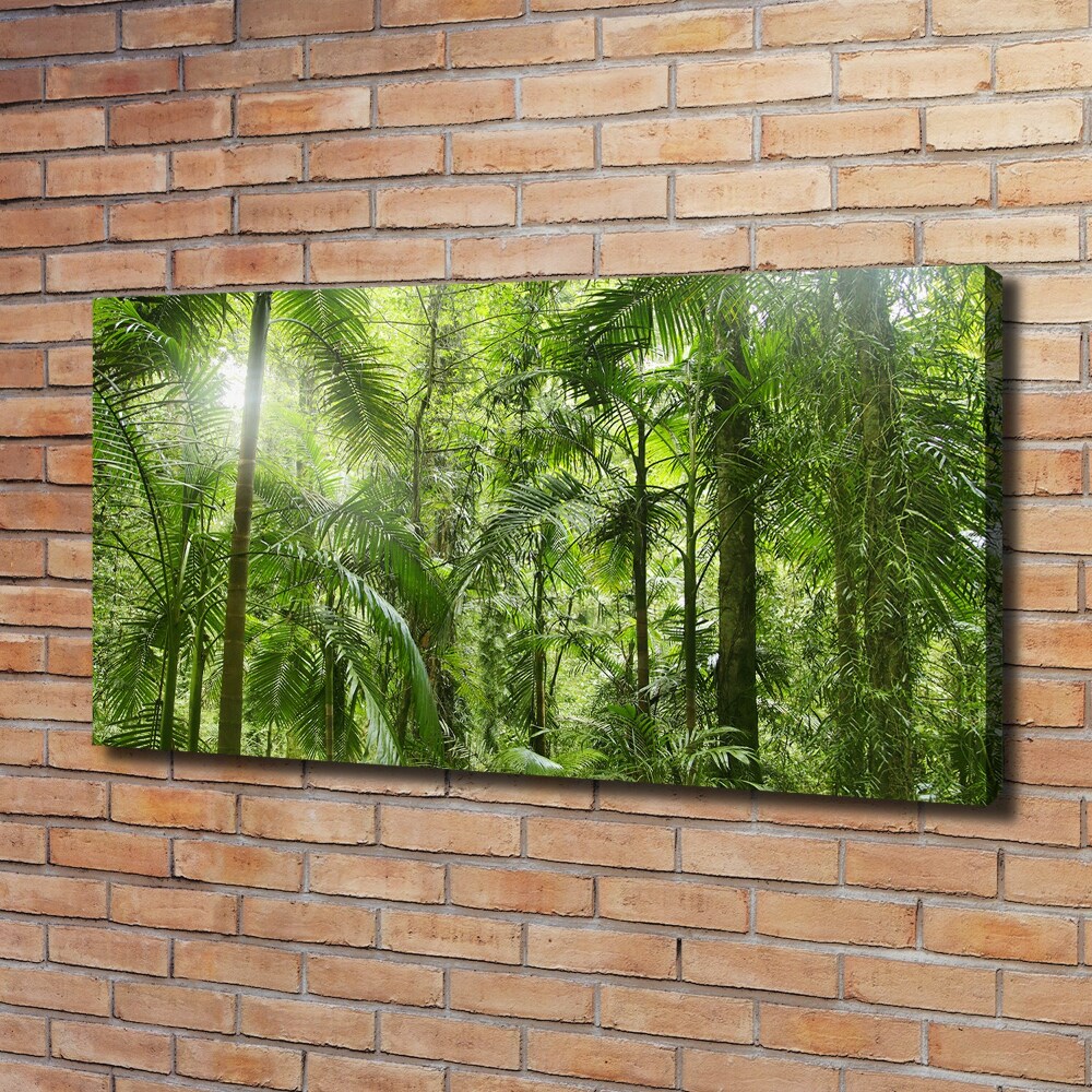 Canvas wall art tropical forest