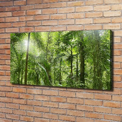 Canvas wall art tropical forest