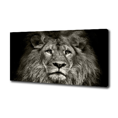 Canvas wall art Lion