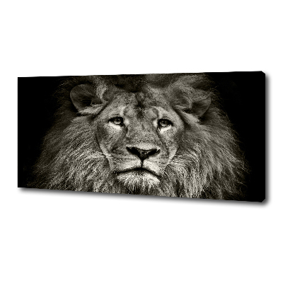 Canvas wall art Lion