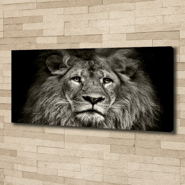 Canvas wall art Lion