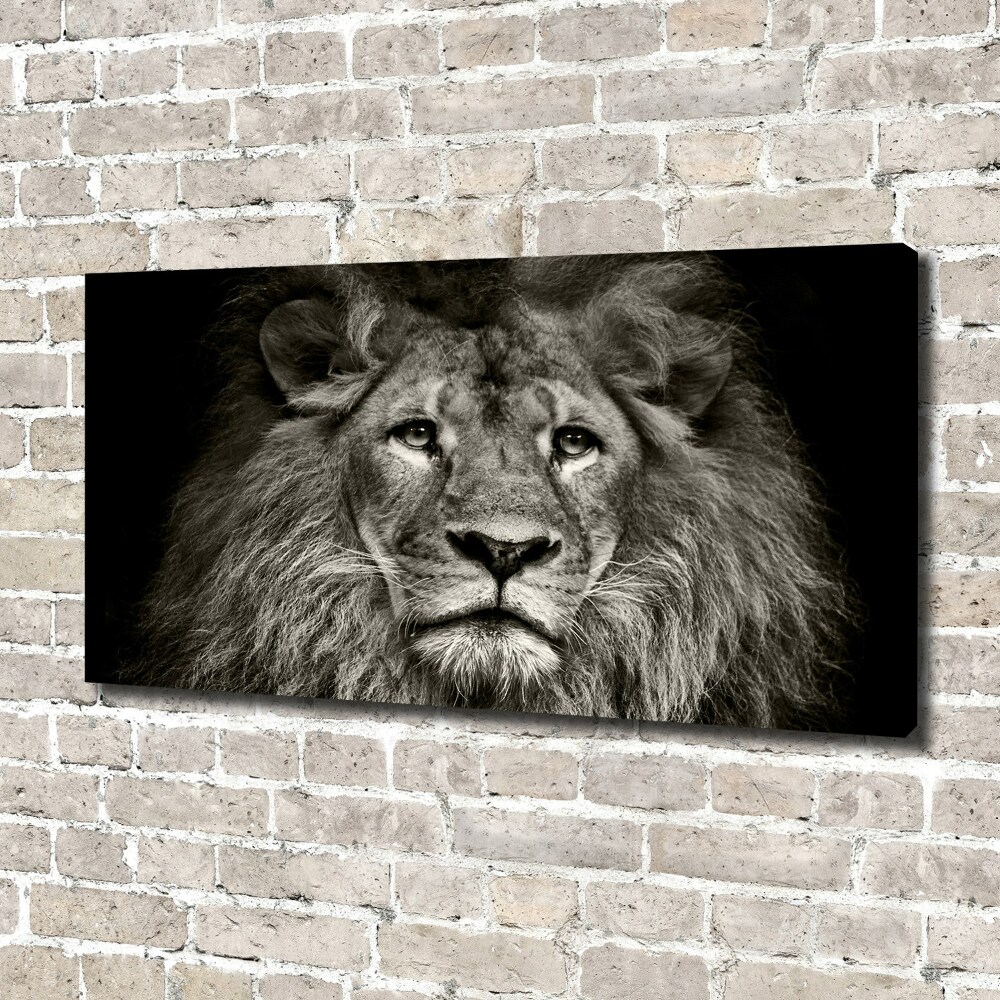 Canvas wall art Lion