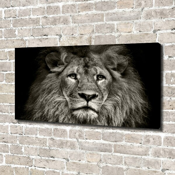 Canvas wall art Lion