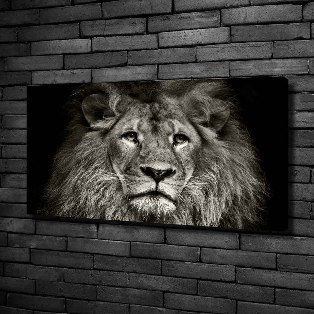 Canvas wall art Lion