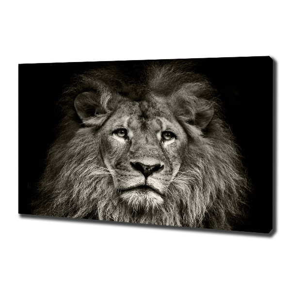 Canvas wall art Lion