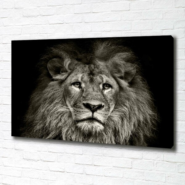 Canvas wall art Lion