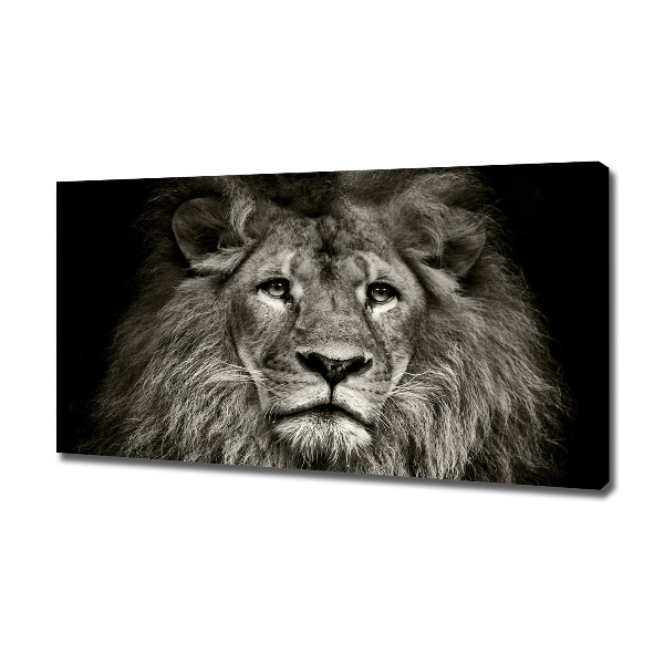 Canvas wall art Lion