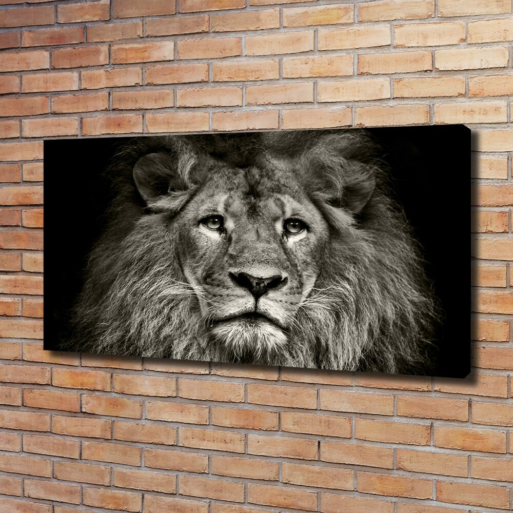 Canvas wall art Lion