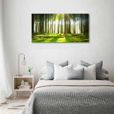 Canvas wall art Forest in the sun