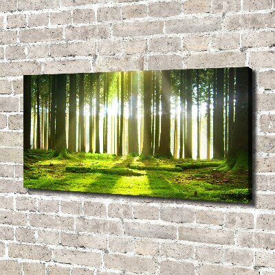 Canvas wall art Forest in the sun