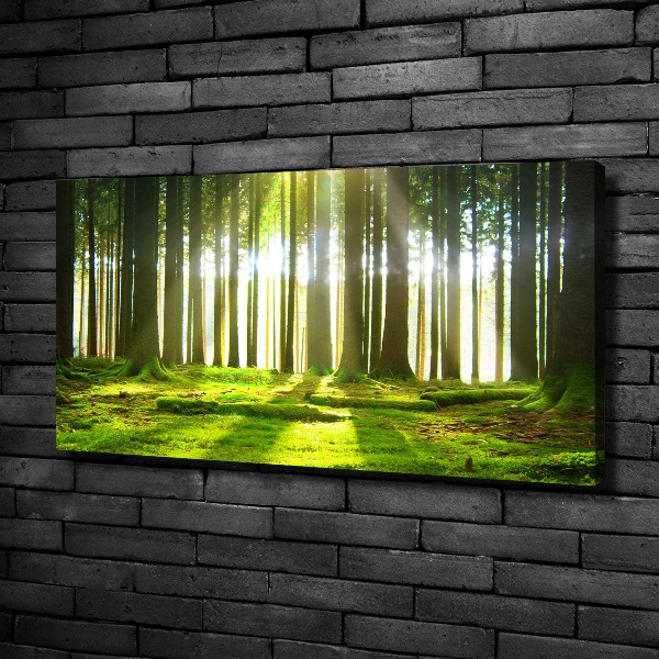 Canvas wall art Forest in the sun