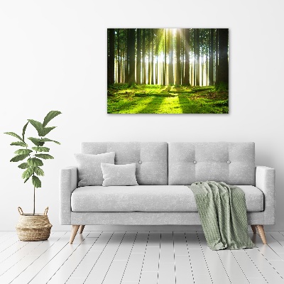 Canvas wall art Forest in the sun