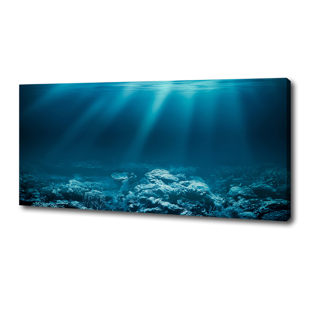 Canvas wall art Underwater world